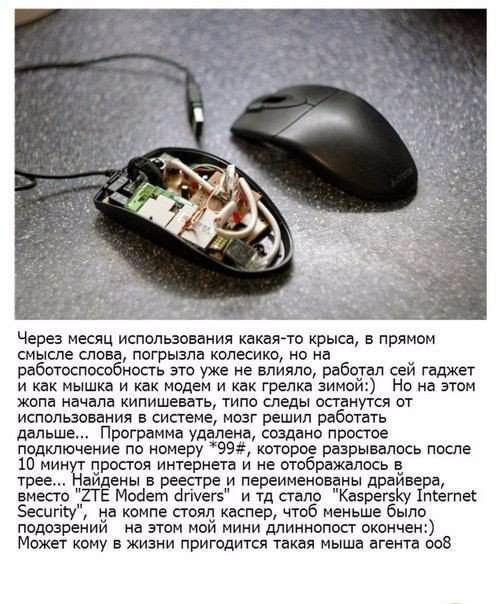 ������ ���-�� ��������? ������ �� ����� ������ �����. - 5