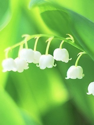 ������� ����� ���� � ���, � ��� ������ ������. - 3