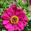 ���� �����, ��������, 38 ��� - ��������� 17 ������� 2015 � ������ ������ ��������