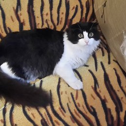 ���� ���������, ���������, 34 ���� - ��������� 25 ��� 2015