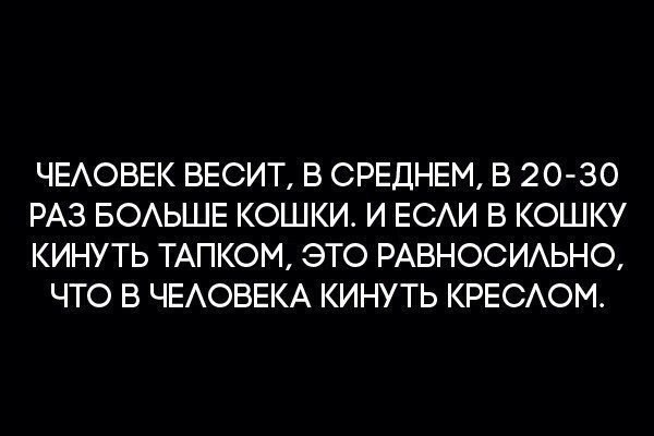 BEST | , ,  - 13  2015  01:01 - 7