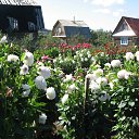 ���� ����, ������, 53 ���� - ��������� 19 �������� 2015 � ������ ����Ȼ