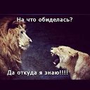 ���� ������, ������ - ��������� 15 ������� 2015 � ������ ������ ��������