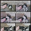 ���� �����, ���������, 40 ��� - ��������� 5 ��� 2015 � ������ ���� ����������