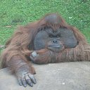 ���� ������, ���������� - ��������� 8 �������� 2015 � ������ ������ ��������