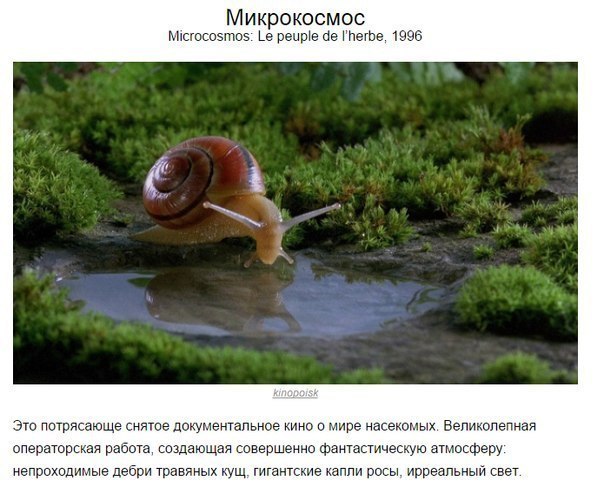 10  ,   ,  ,   . ,   ... - 2