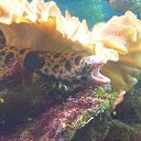 ���� ���������, �����, 27 ��� - ��������� 14 ���� 2015 � ������ ���� ����������