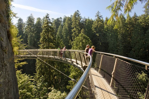     . (Capilano Suspension Bridge)    , ... - 2