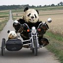 ���� ����, ���������, 45 ��� - ��������� 29 ������� 2015