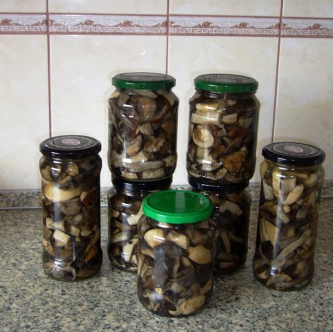 Маринованные грибы. Мариновались красноголовики. Грибы отваривала отдельно в подсоленной воде( ...