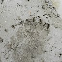 ����� ����� �� ������� ���� ����������