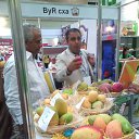 ���� Maximo, �����-�������, 61 ��� - ��������� 25 ��� 2015 � ������ ������ ��������