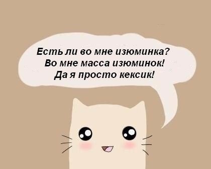    |   - 6  2015  10:08