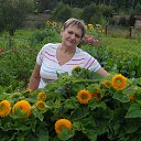 ���� ��������, �������, 69 ��� - ��������� 13 �������� 2015 � ������ ���� ����������