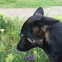 ���� �����, ����������, 54 ���� - ��������� 5 ���� 2015 � ������ ���� ����������