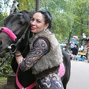  ,  , 46  -  12  2015    