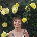 ���� �������, �����������, 66 ��� - ��������� 28 ���� 2015