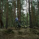 ���� �����, �������, 43 ���� - ��������� 8 ��� 2015
