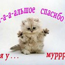 ���� ���������, ��������� - ��������� 2 ���� 2015 � ������ �������� ��������