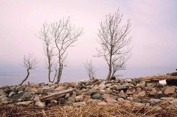 Случайностей не бывает. Всё правильно именно так, как оно есть. Ошибок не бывает. Вы находитесь в ...