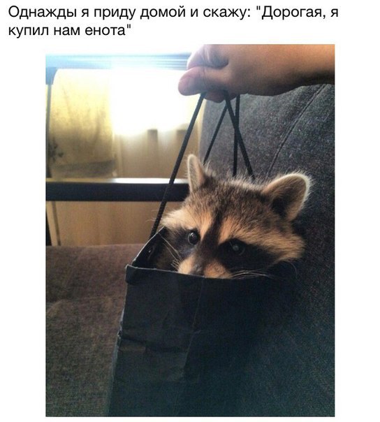  - 20  2015  13:11
