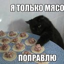 ���� �����, �����, 48 ��� - ��������� 23 ������� 2015 � ������ �14�