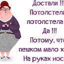 ���� ����, �����������, 41 ��� - ��������� 6 ������� 2015 � ������ ������ ��������