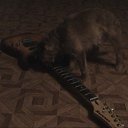 ���� ������, �����-���������, 60 ��� - ��������� 26 ������ 2015 � ������ ���� ����������