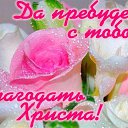 ���� ����, �����, 41 ��� - ��������� 16 �������� 2015 � ������ ������ ��������