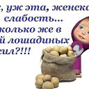 ���� ���������, ������ - ��������� 12 ��� 2015 � ������ ������ ��������