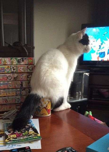       , ?!