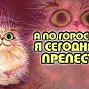 ���� ���������, �������� - ��������� 27 ������� 2015 � ������ ���� ����������