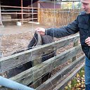 ���� ������, ������, 35 ��� - ��������� 2 ��� 2015 � ������ ���� ����������