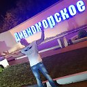 ���� ���������, ������, 47 ��� - ��������� 8 ������� 2015 � ������ ���� ����������