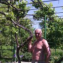 ���� ���������, �����������, 66 ��� - ��������� 20 ��� 2015 � ������ ���� ����������