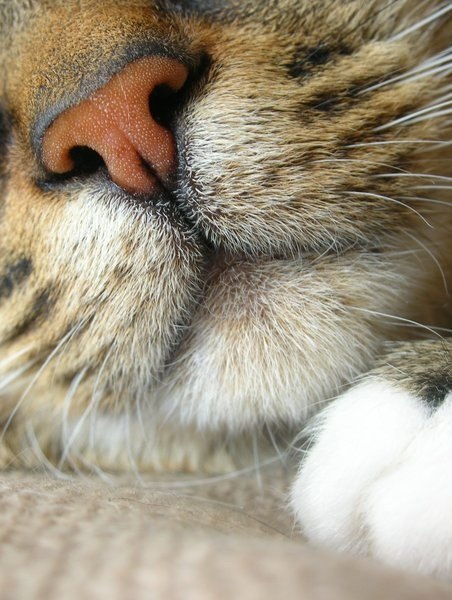 ��� ���� � ����� �� �� - 5 ���� 2015 � 00:30 - 5