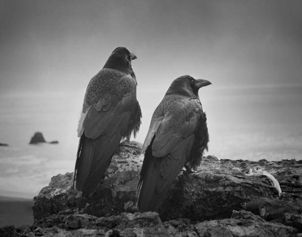Odin's Cove...  Beth Moon - 6