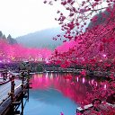 ���� �����, �����, 55 ��� - ��������� 1 ��� 2015 � ������ ������ ��������