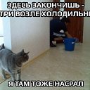 ���� �����, �����, 48 ��� - ��������� 27 ������� 2015 � ������ �15�