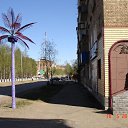  ,  -  8  2015      .