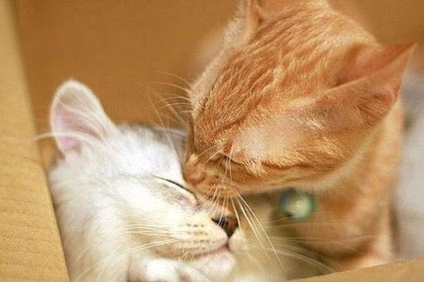 Жить надо ради тех кому ты нужен постоянно, а не ради тех кому ты нужен временно...