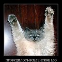 �������� ������� ������� �� �������������� ������� � ����������� ��������!!! �������� �� ������� ������ ��������