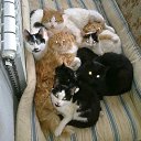 ���� ���������, ���������, 68 ��� - ��������� 5 ������� 2015