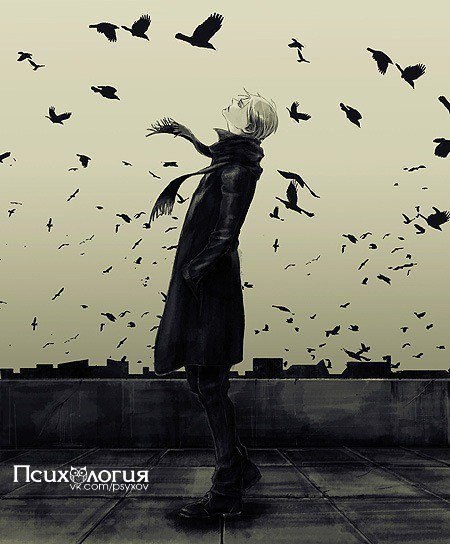 Интроверт — это человек, который за несколько минут может построить у себя в голове логическую ...