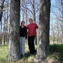  ,  , 67  -  26  2015    2015