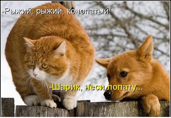       - 27  2015  17:04