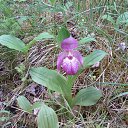 ���� ������, �������, 60 ��� - ��������� 25 ������� 2015 � ������ ���� ����������