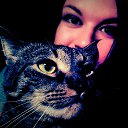 ���� ����, ������, 32 ���� - ��������� 10 ���� 2015 � ������ ���� ����������