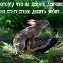 ���� �����, ������, 31 ��� - ��������� 23 ������ 2015 � ������ ���� ����������