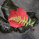 ���� ������, ������������, 54 ���� - ��������� 19 �������� 2015 � ������ ���� ����������